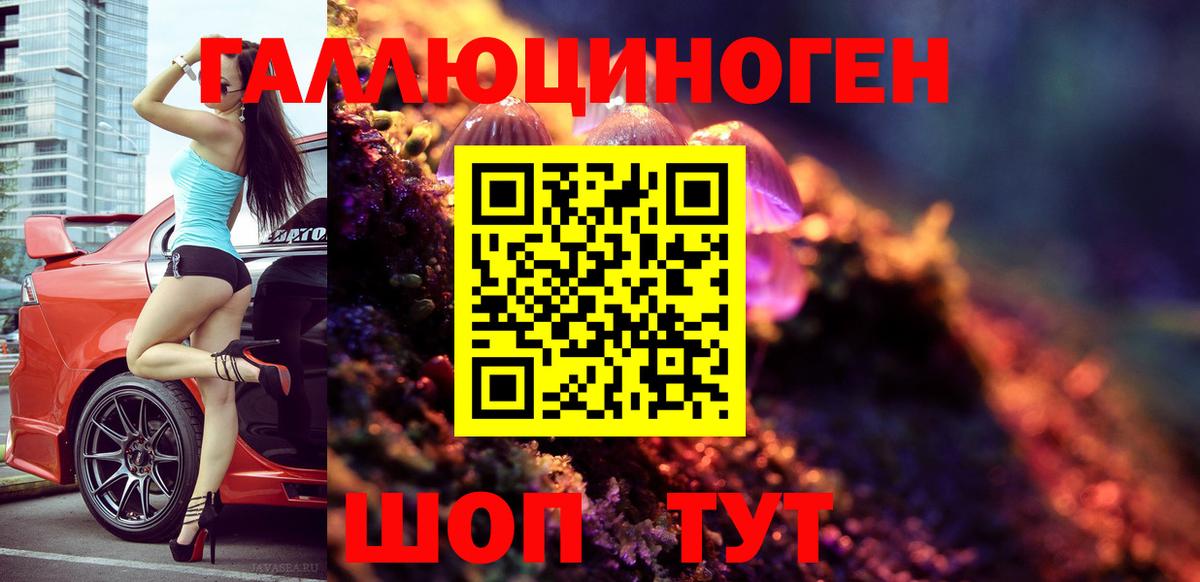 Галлюциногенные грибы Psilocybine cubensis Каменск-Шахтинский