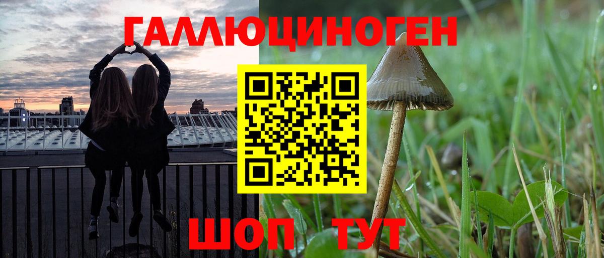 Каменск-Шахтинский  Псилоцибиновые грибы Psilocybine cubensis  Вход с VPN 